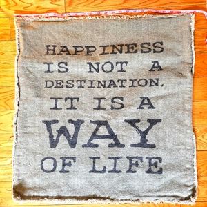 Urban Barn pillow cover 25in × 25in